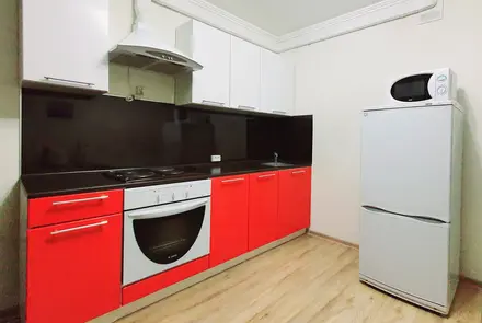 Studio apartment for daily rent in Rechitsa, Sportivnaya st. 18